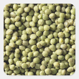 Mung Beans Vierkante Sticker