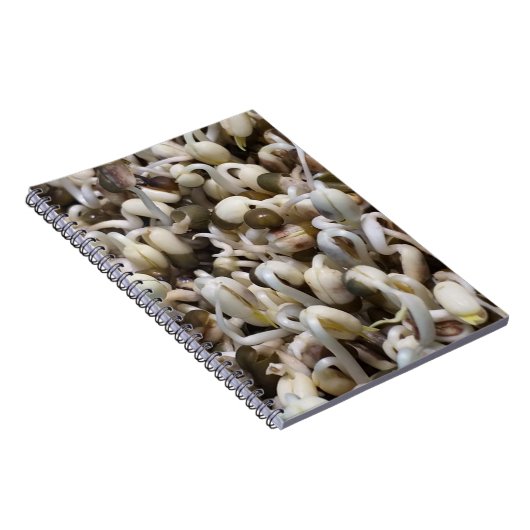 Mung the Beans Notitieboek (Rechterzijde)