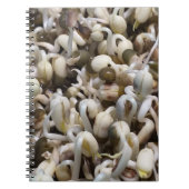 Mung the Beans Notitieboek (Voorkant)