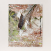 Munia met schubbenborst; Vogelliefhebber Legpuzzel (Verticaal)