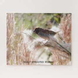 Munia met schubbenborst; Vogelliefhebber Legpuzzel
