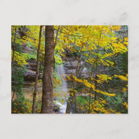 Munising-herfsten in de Herfst, Munising, Michigan Briefkaart (Voorkant)
