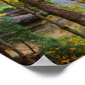 Munising herfsten in Herfst, Munising, Michigan. Poster (Hoek)
