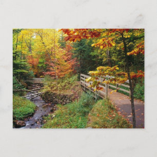 Munising Herfsten Trail, Alger County, Michigan Briefkaart