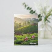 Munnar Kerala India Tea Plantation Briefkaart (Staand voorkant)