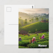 Munnar Kerala India Theeplantage Briefkaart (Voorkant / Achterkant)