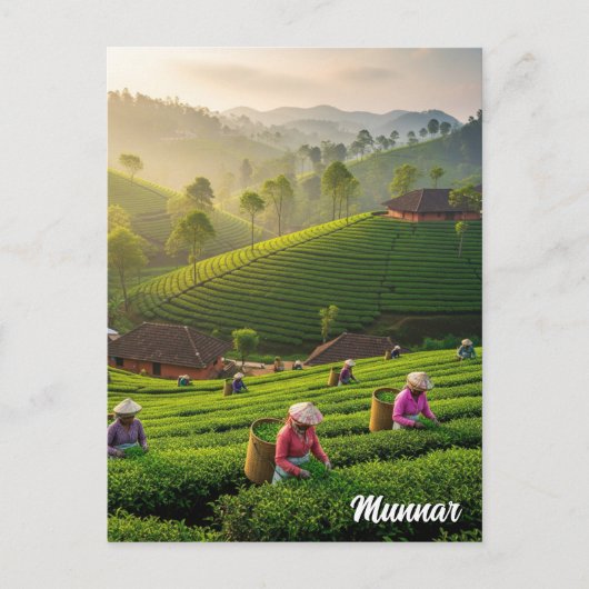 Munnar Kerala India Theeplantage Briefkaart (Voorkant)