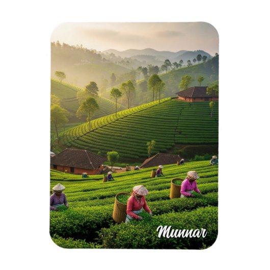 Munnar Kerala India Theeplantage Magneet (Verticaal)