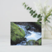 Munson Creek Briefkaart (Staand voorkant)