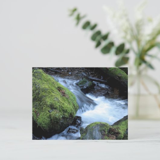 Munson Creek Briefkaart (Staand voorkant)