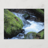 Munson Creek Briefkaart (Voorkant)