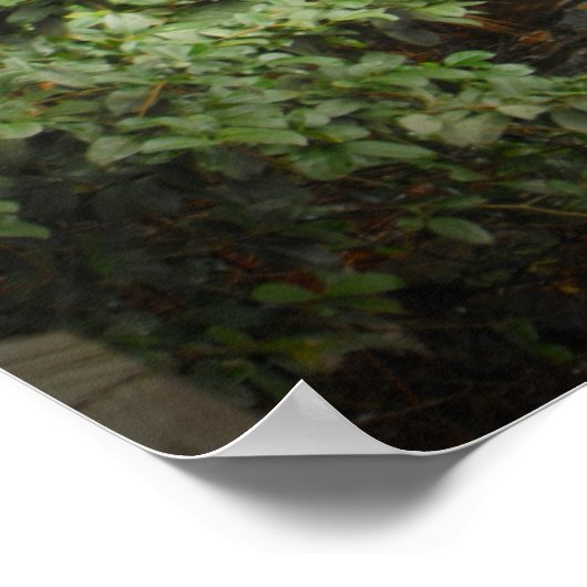 Munson Grist Mill Poster (Hoek)