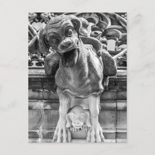 Munster Cathedral Gargoyle - Bern - Zwitserland Briefkaart (Voorkant)
