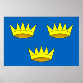Munster, vlag van Ierland Poster (Voorkant)