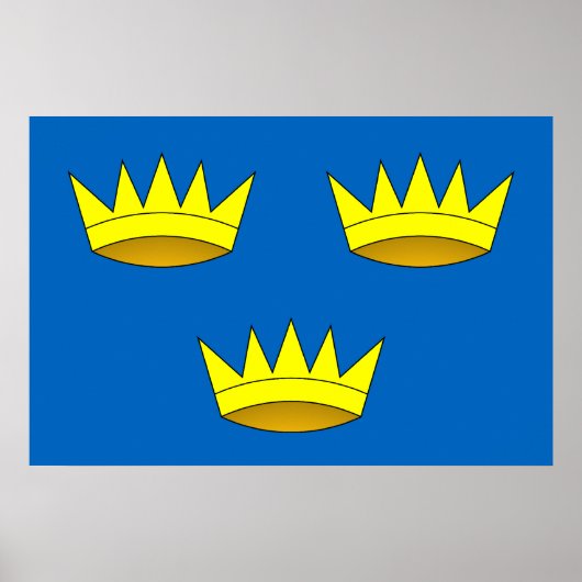 Munster, vlag van Ierland Poster (Voorkant)