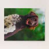 Munsterlander Dog. Legpuzzel (Horizontaal)