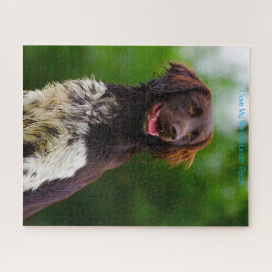 Munsterlander Dog. Legpuzzel (Horizontaal)