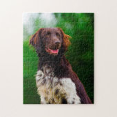 Munsterlander Dog. Legpuzzel (Verticaal)