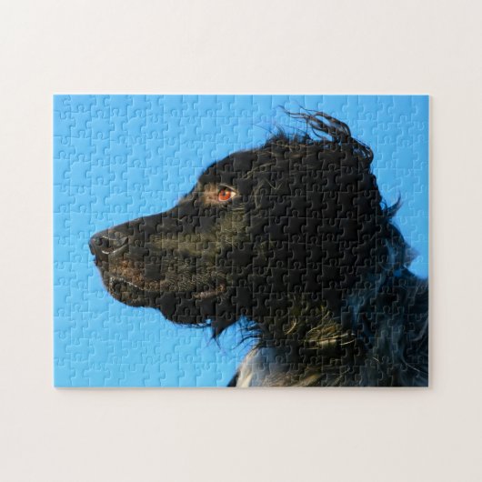 Munsterlander Dog. Legpuzzel (Horizontaal)