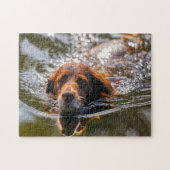 Munsterlander Dog. Legpuzzel (Horizontaal)
