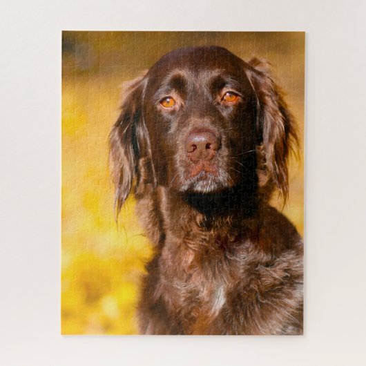 Munsterlander Dog. Legpuzzel (Verticaal)