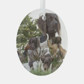 Munsterlander Glas Ornament (Voorkant Rechts)