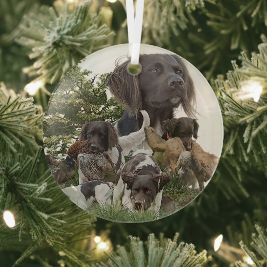 Munsterlander Glas Ornament (Insitu)