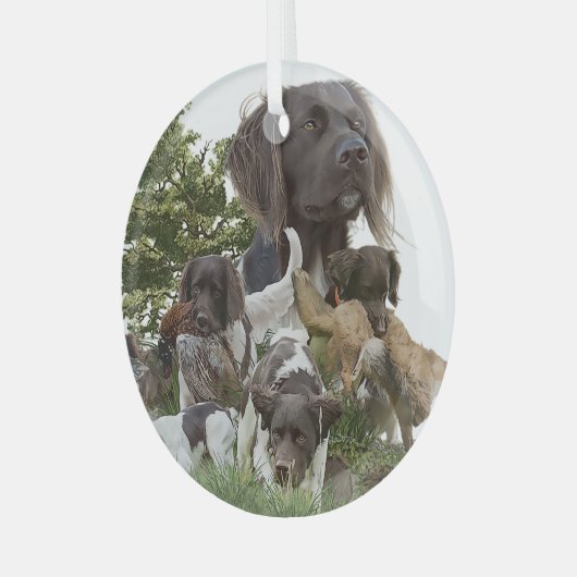 Munsterlander Glas Ornament (Voorkant links)