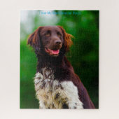 Münsterländer. Legpuzzel (Verticaal)
