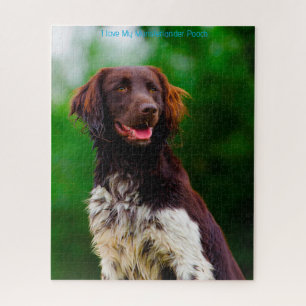 Münsterländer. Legpuzzel
