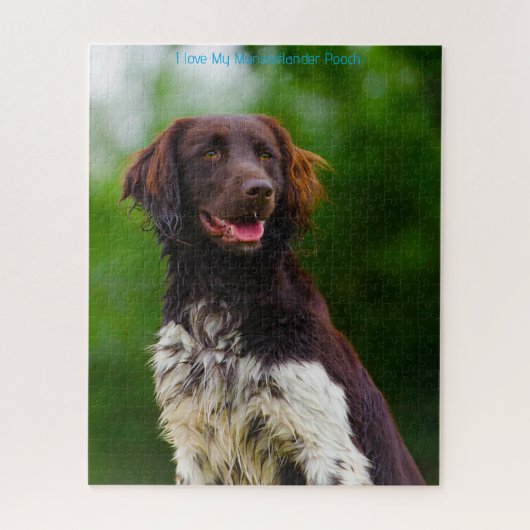 Münsterländer. Legpuzzel (Verticaal)