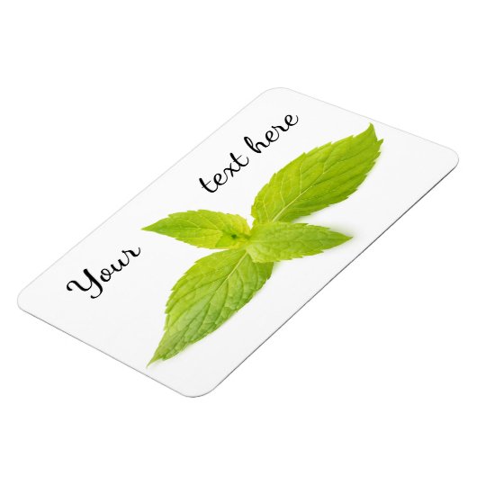 Munt bladeren magneet (Linkerzijde)