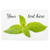 Munt bladeren magneet (Horizontaal)