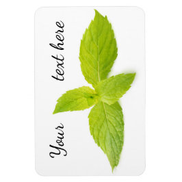 Munt bladeren magneet