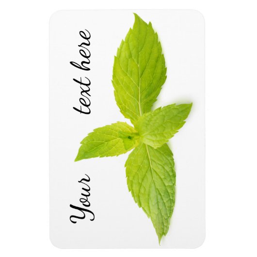 Munt bladeren magneet (Verticaal)
