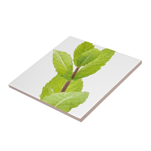 Munt bladeren tegeltje (Zijkant)