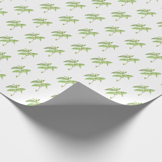 Munt botanische planten groene tuin waterverf cadeaupapier (Hoek)