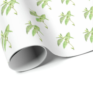 Munt botanische planten groene tuin waterverf cadeaupapier