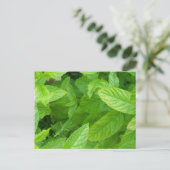 Munt Briefkaart (Staand voorkant)