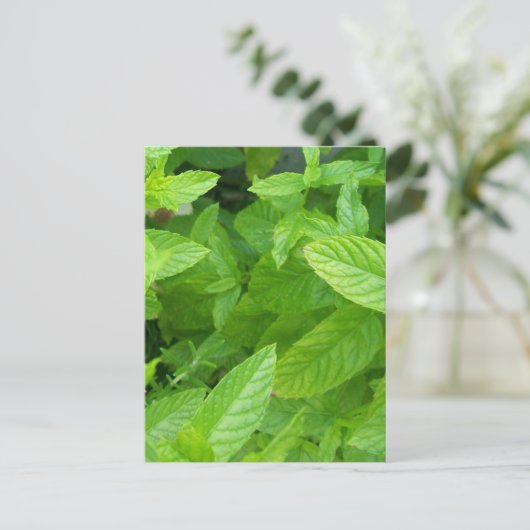 Munt Briefkaart (Staand voorkant)