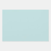 Munt en witte kant rozen floral inpakpapier vel (Voorkant 2)