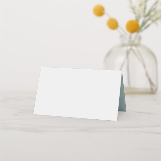 Munt, grijs en perzik heteluchtballon plaatskaartje (Achterkant)