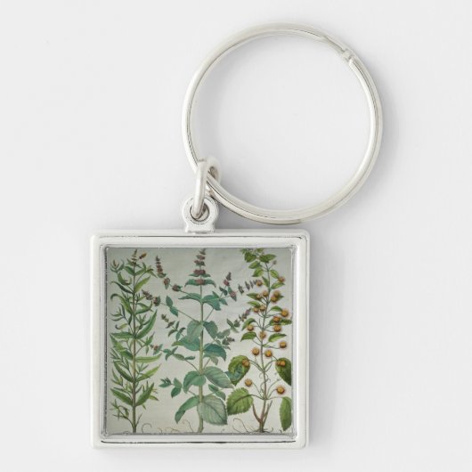 Munt: Mentha crispa Sleutelhanger (Voorkant)