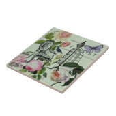 munt moderne  vlinderparijs van het franse roos tegeltje (Zijkant)