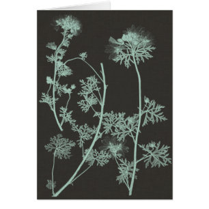 Munt & Natuur van houtskool Onderzoek IV