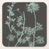 Munt & Natuur van houtskool Onderzoek IV Kartonnen Onderzetters (Voorkant)