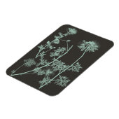 Munt & Natuur van houtskool Onderzoek IV Magneet (Linkerzijde)