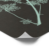 Munt & Natuur van houtskool Onderzoek IV Poster (Hoek)