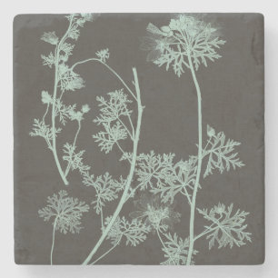 Munt & Natuur van houtskool Onderzoek IV Stenen Onderzetter