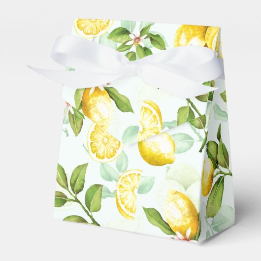 Munt voor de Waterverf van fruit op de zomervakant Bedankdoosjes (Voorkant Zijde)